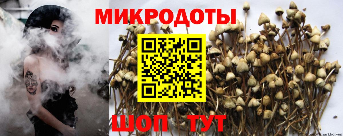 Псилоцибиновые грибы Magic Shrooms Белогорск